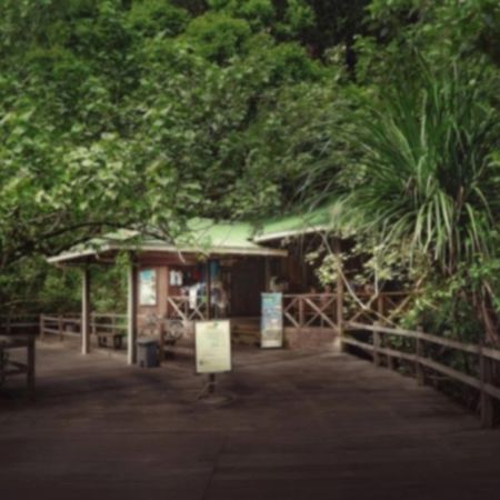Permai Rainforest Resort Santubong Exterior foto
