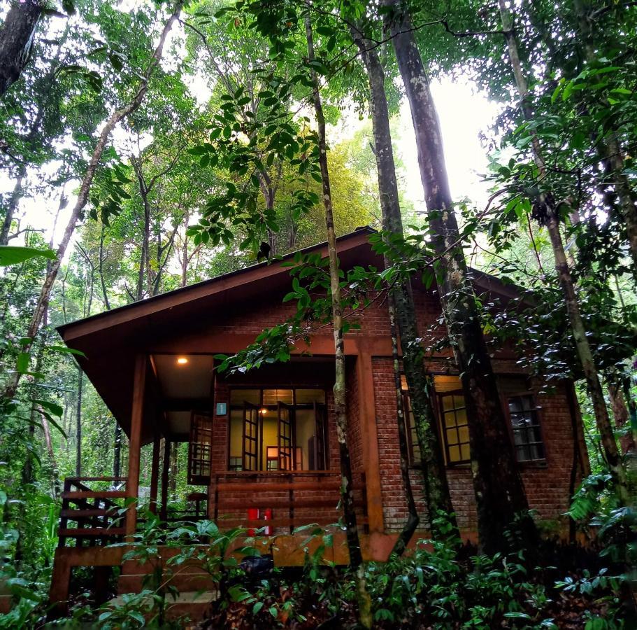 Permai Rainforest Resort Santubong Exterior foto