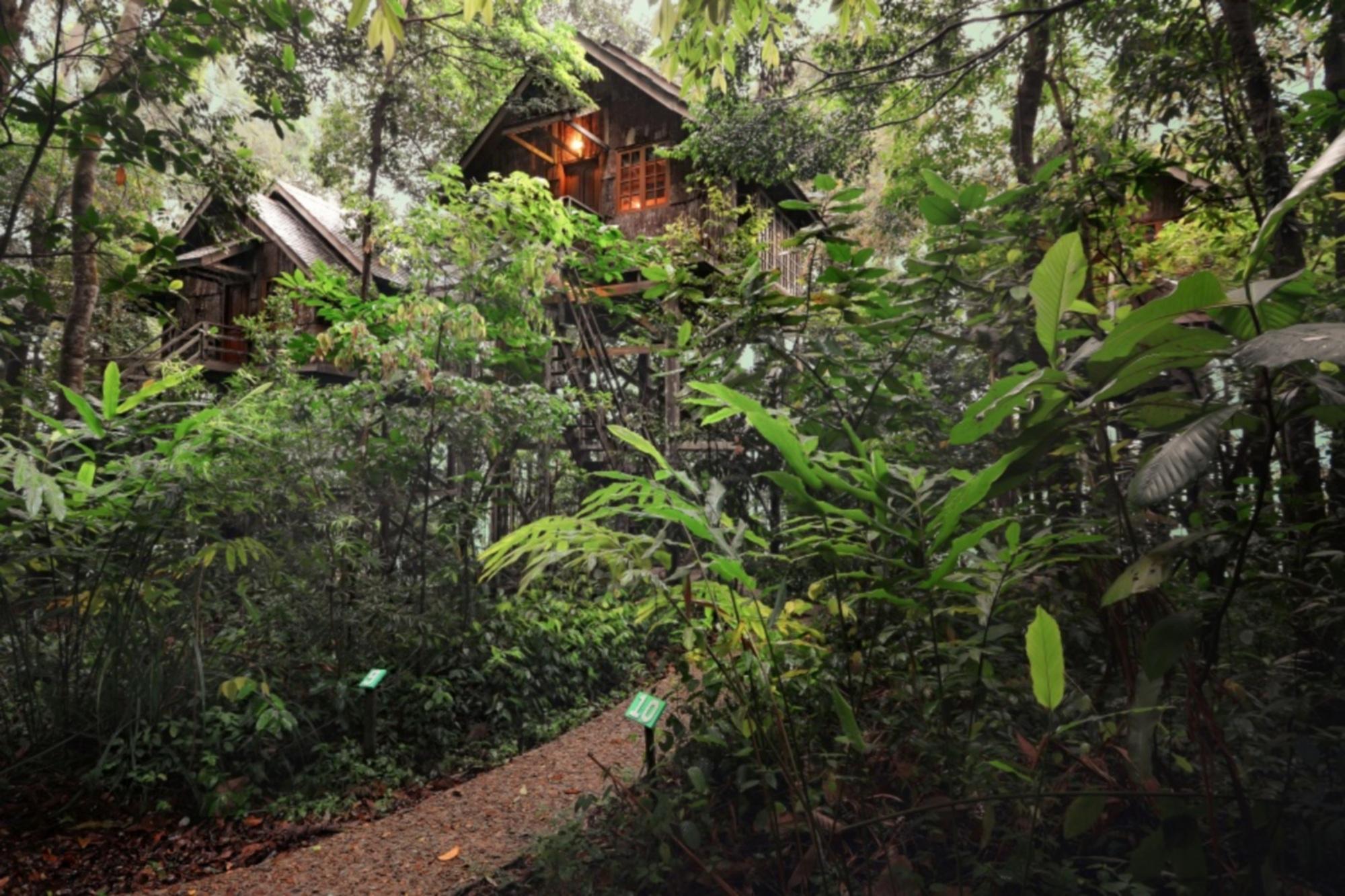 Permai Rainforest Resort Santubong Exterior foto